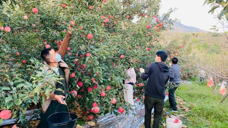 微信图片_20211022102728