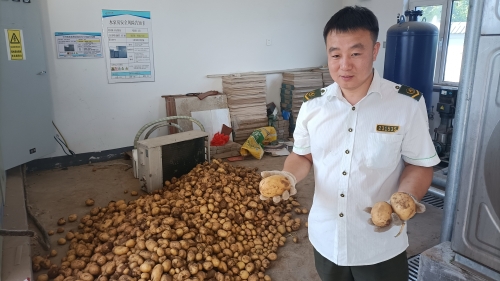 挖土豆5a