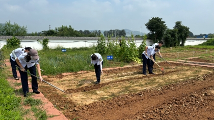 F:\00.分公司季度检查\2024年一季度\02办公室\宣传\8月份\小菜园2