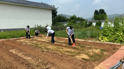 F:\00.分公司季度检查\2024年一季度\02办公室\宣传\8月份\小菜园3