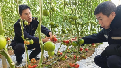 F:\00.分公司季度检查\2024年一季度\02办公室\宣传\12月份\10果香2