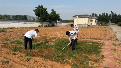 F:\00.分公司季度检查\2025年\02.办公室\宣传\6月份\14种玉米2