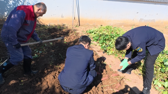 8cf719dbdce5408910d43ee8d663862e