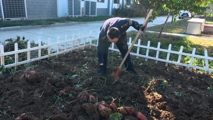 6aa272677a3dd6f2c2dfab5d1574b8a7