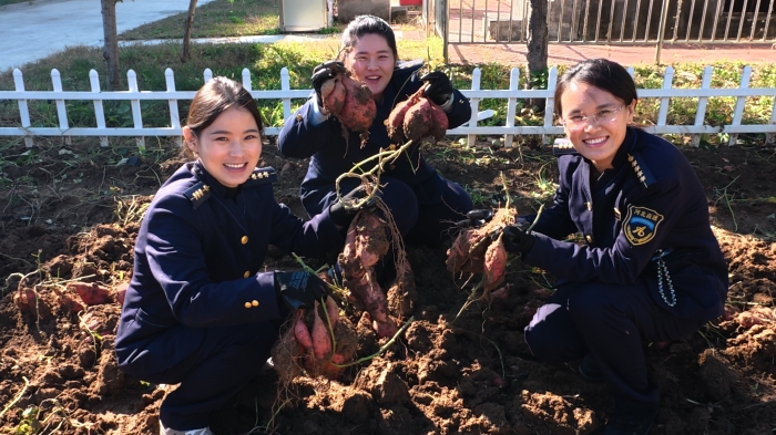 428bdb7079bc42d202d926a54f3b9428