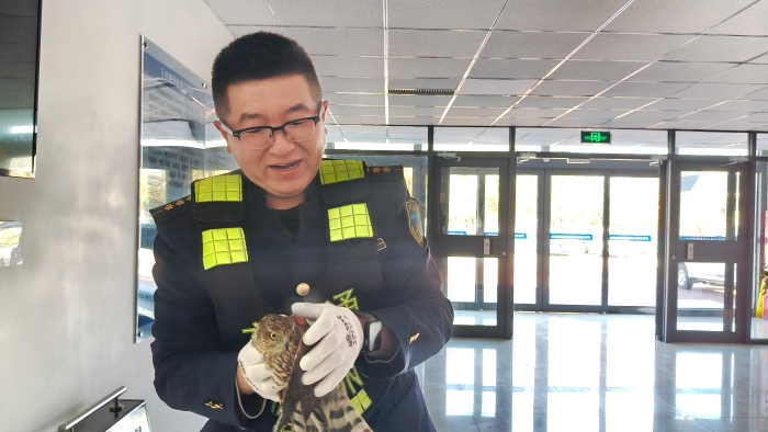 95a1ff735a9e0006c1ddd6b80a19f345