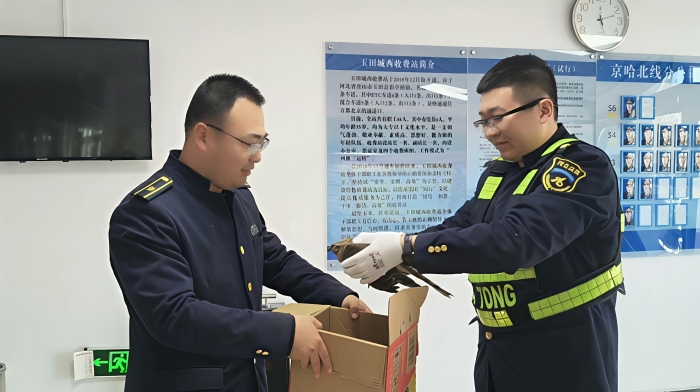 437ad34a8a50b218cb22ea62223ed728