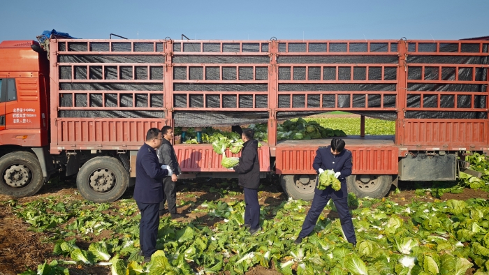 55cda4a5d0e229fa5bdf8d482d6cacfe