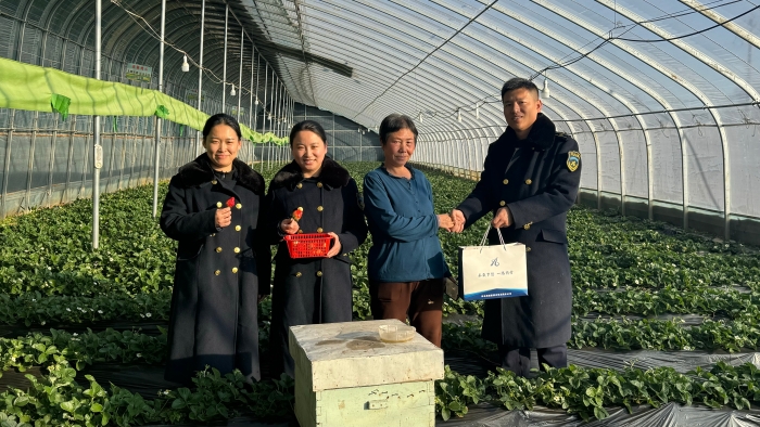 C:\Users\lenovo91\Desktop\草莓采摘园1