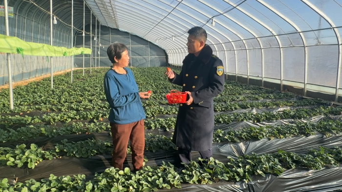 C:\Users\lenovo91\Desktop\草莓采摘园2