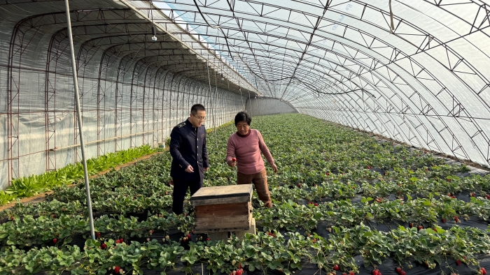 微信图片_20260211134528_1550_163